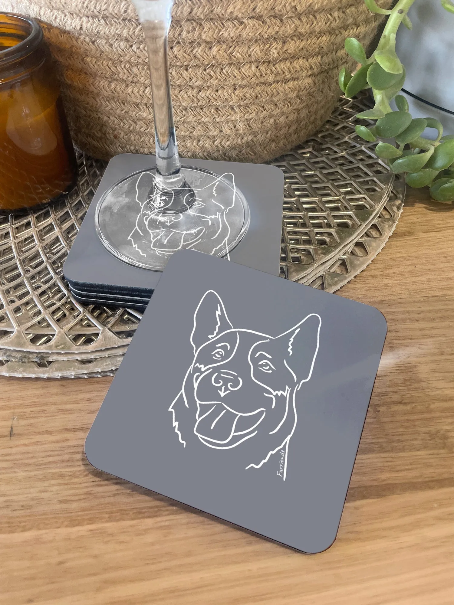 Australian Cattle Dog Coaster