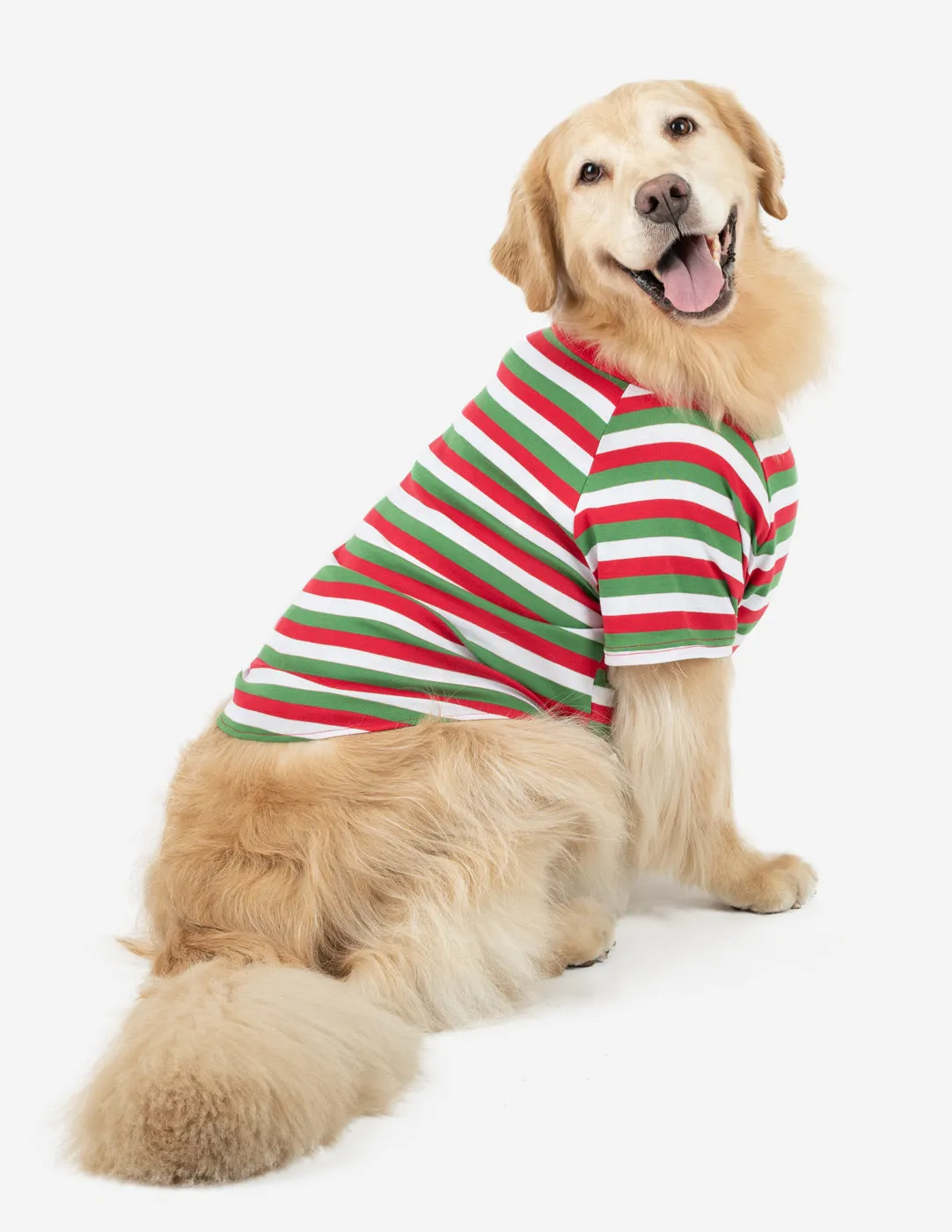 Big Dog Red White & Green Stripes Pajamas