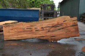 Big Leaf Maple Slab 042721-01