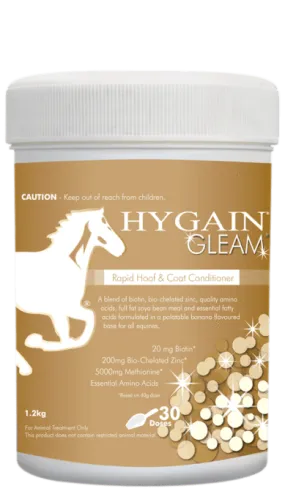 Hygain Gleam