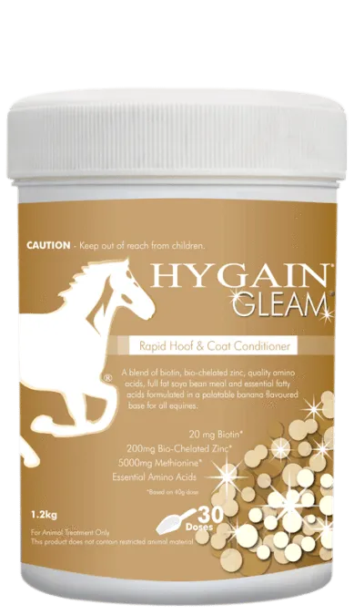 Hygain Gleam