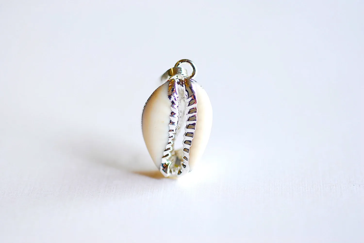 Rhodium Plated Real Natural Cowrie Shell, Natural rhodium silver dipped shell pendant, Cowrie shell pendant charm, Cut Cowrie Shell Beads